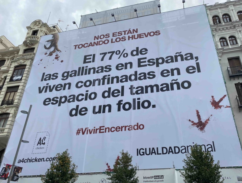 Campaña igualdad animal